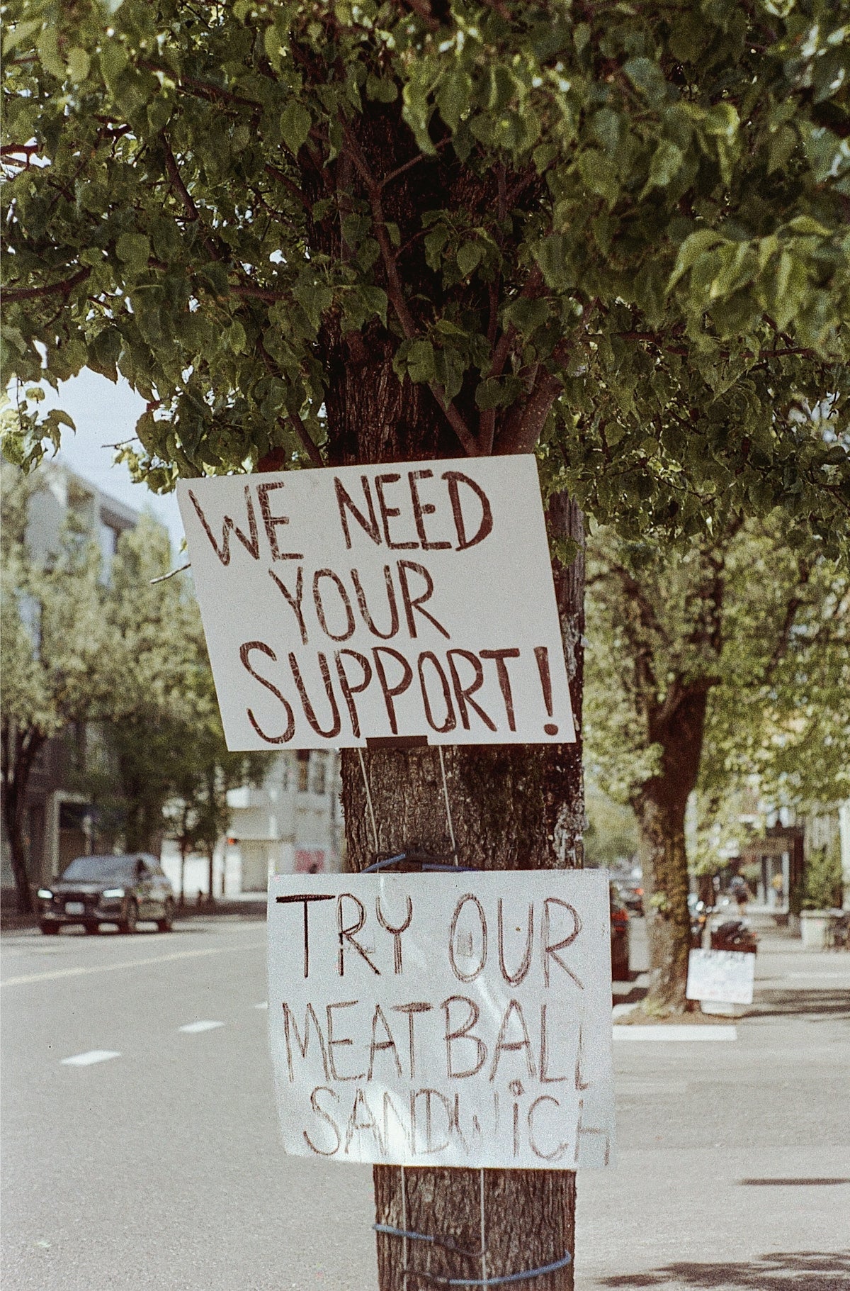 Signs on tree ask for support and promote meatball sandwich