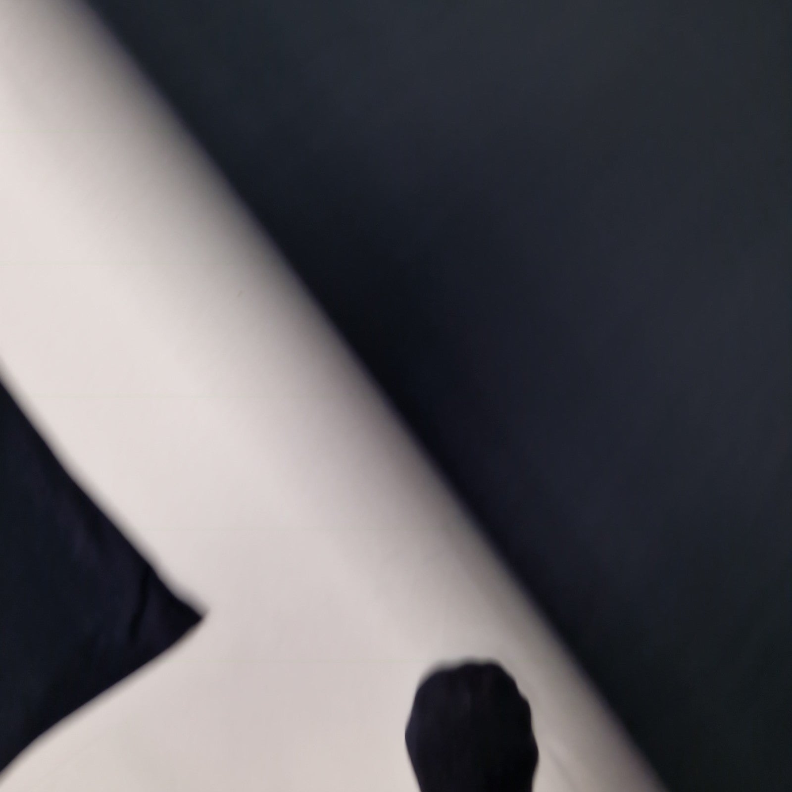 Image #10