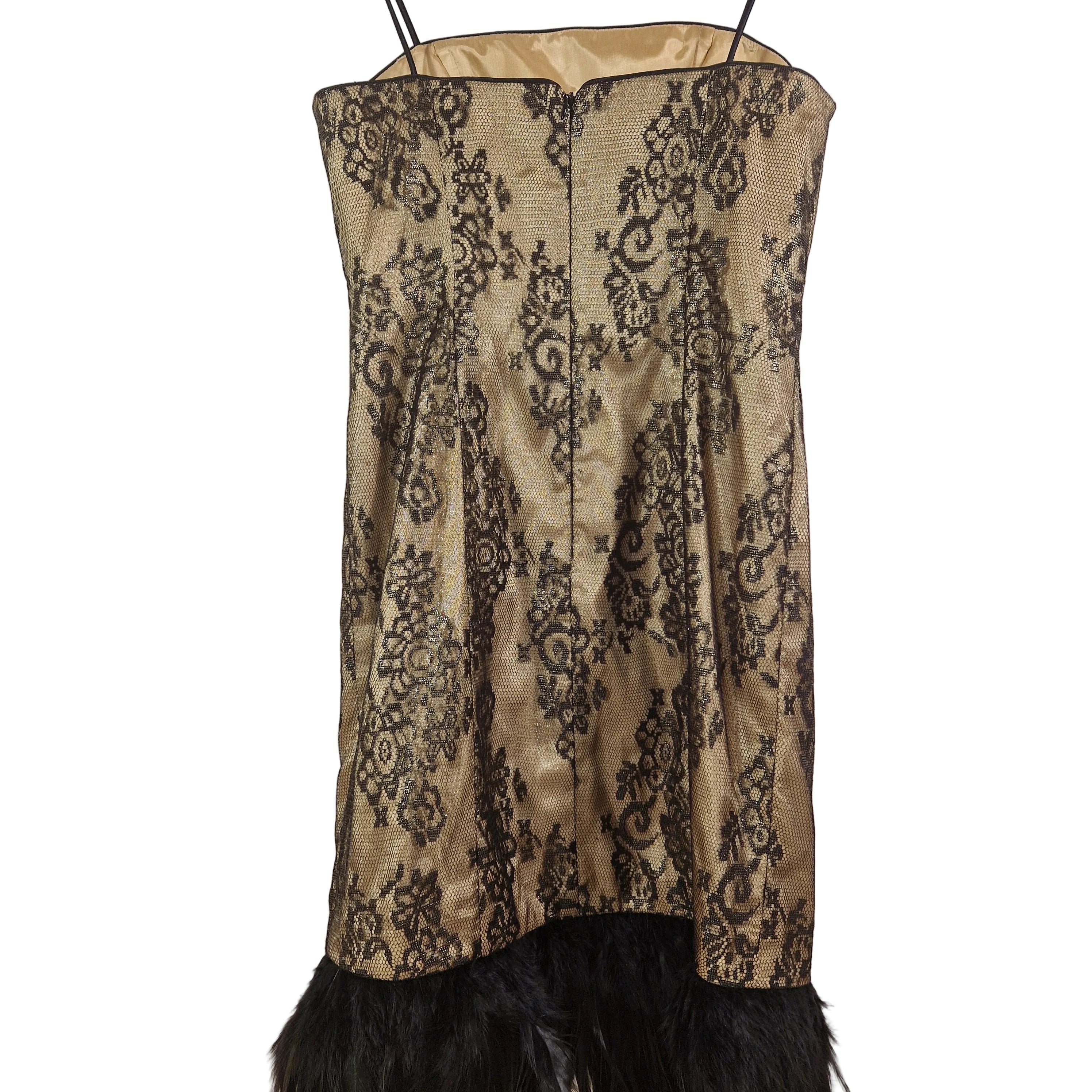 Beige dress with black lace and feather details on a white background