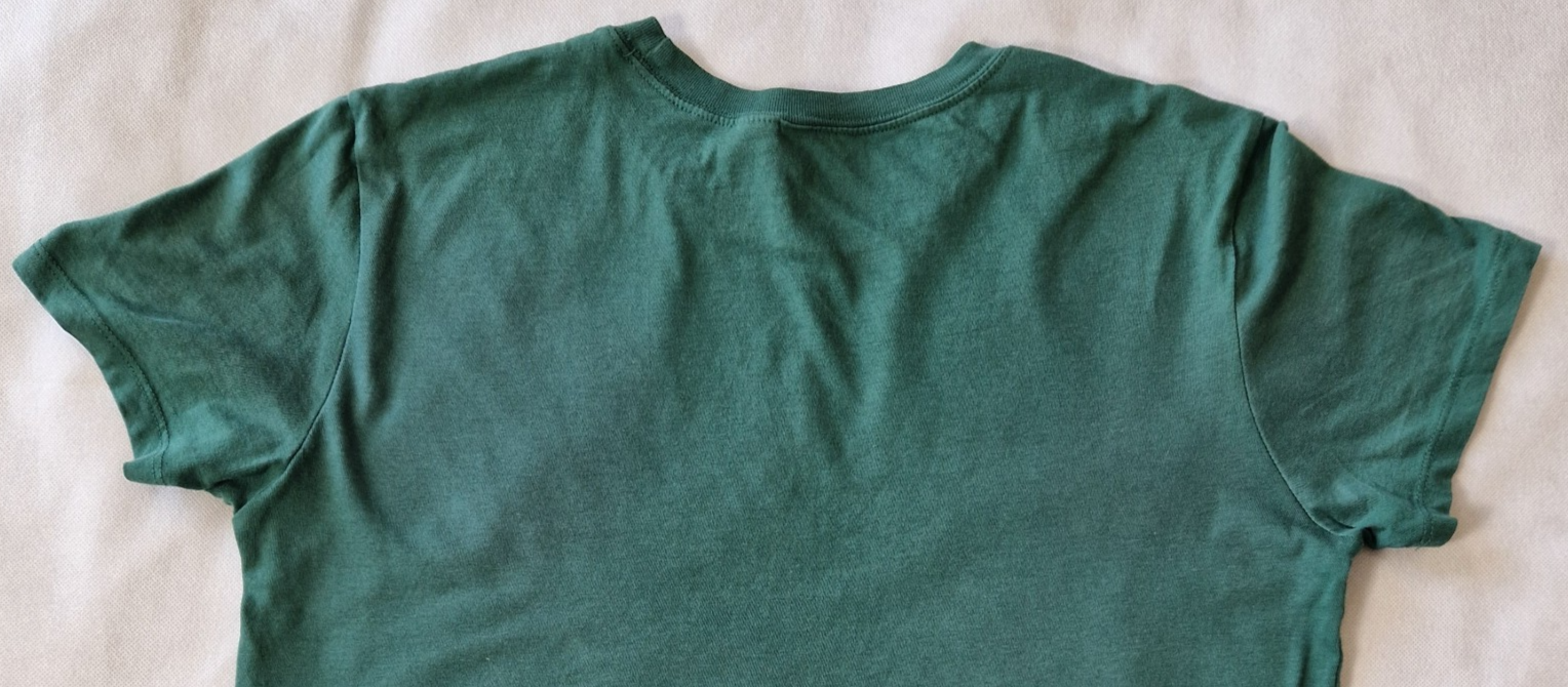 A plain green short-sleeved H&M Divided cotton jersey t-shirt viewed from the back.