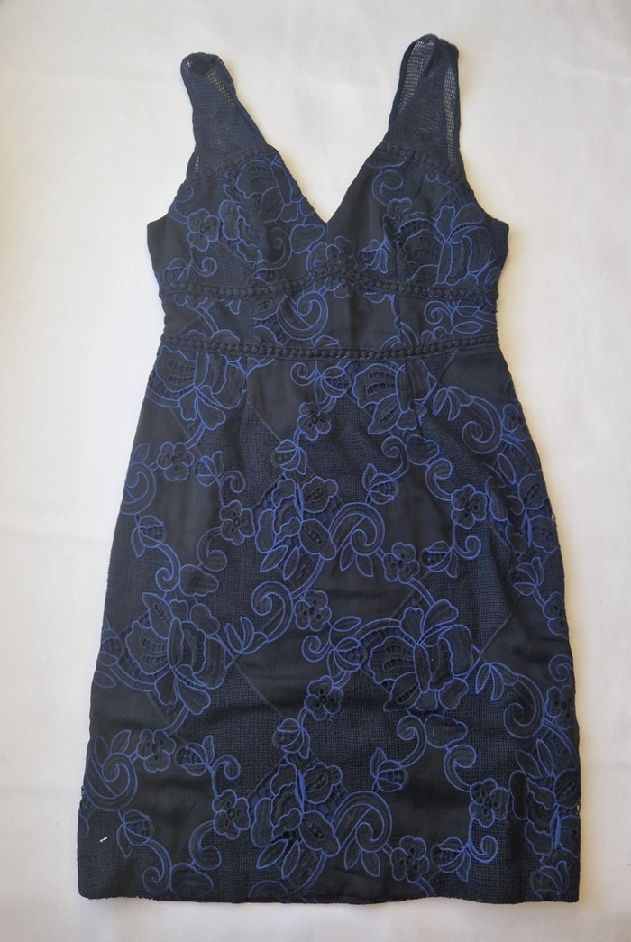 A black sleeveless knee-length dress with blue floral embroidery and a V-neckline.